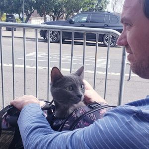 Meet your Posher, Mickey